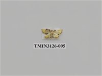 藏品(螟蛾245)的圖片